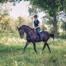 Die Anatomie des Pferdes spielt beim pferdegerechten Reiten auch im Gelände eine wichtige Rolle.