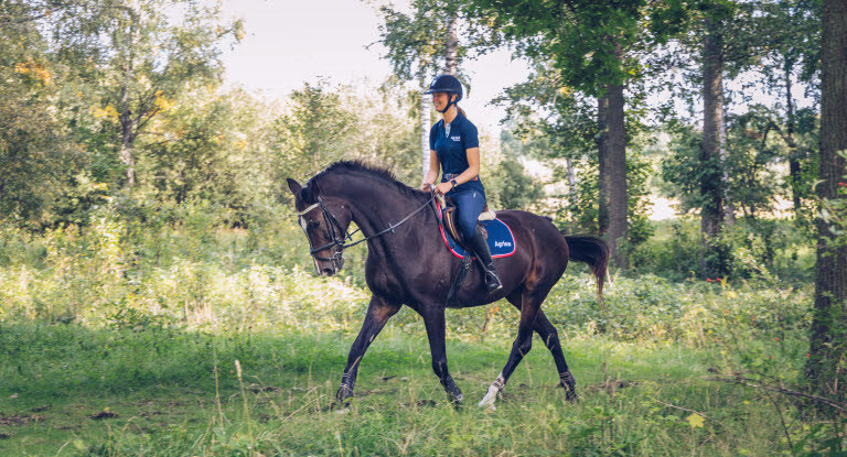 Die Anatomie des Pferdes spielt beim pferdegerechten Reiten auch im Gelände eine wichtige Rolle.