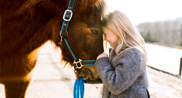 Kind kuschelt mit deutschem Reitpony, eine der beliebtesten Pferderassen 2023